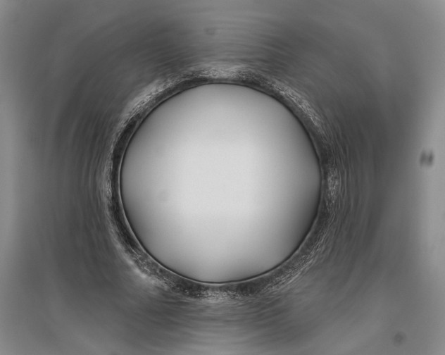 X0000096990682200802291209