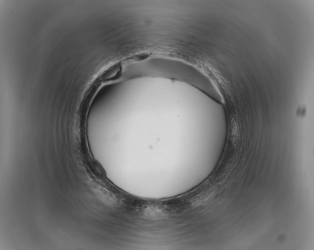 X0000096990684200802291209