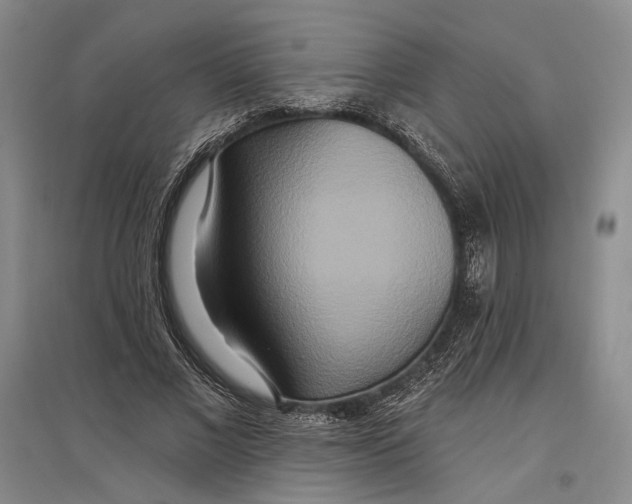 X0000096990685200802291209