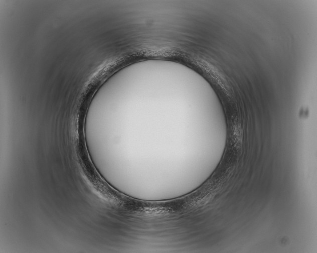 X0000096990686200802291209