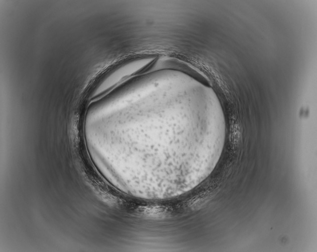 X0000096990688200802291209