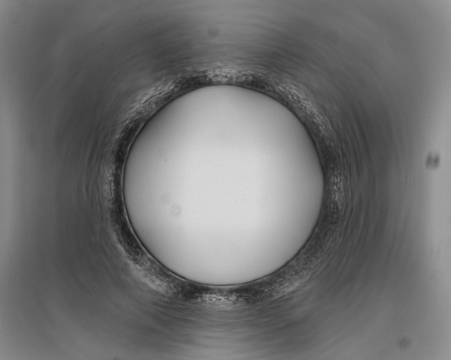 X0000096990690200802291209