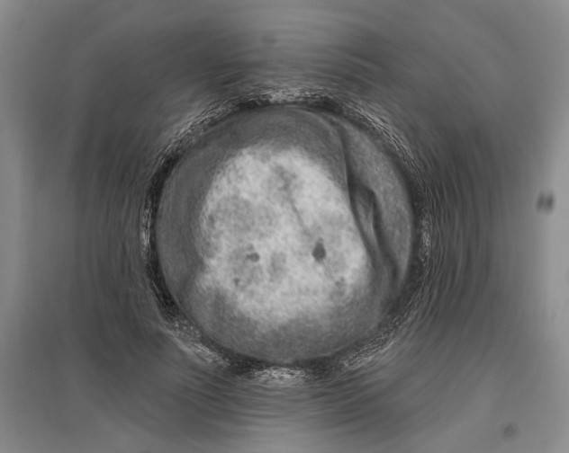 X0000096990691200802291209