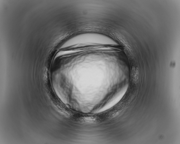 X0000096990692200802291209