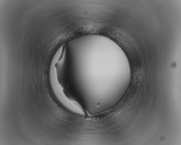 X0000096990693200802291209