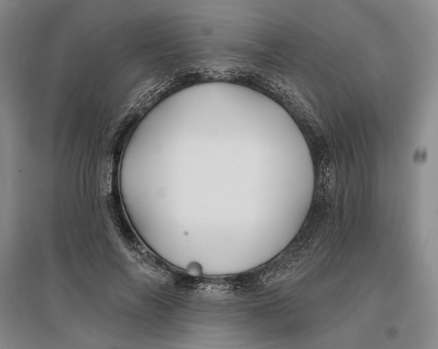 X0000096990694200802291209