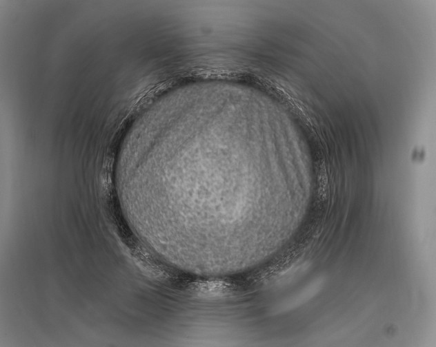 X0000096990695200802291209