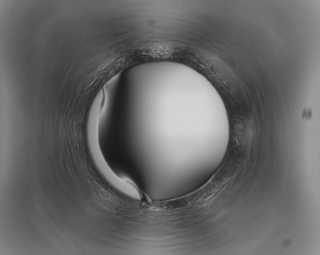 X0000096990697200802291209