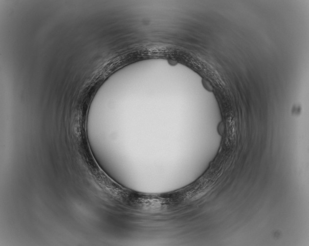 X0000096990698200802291209