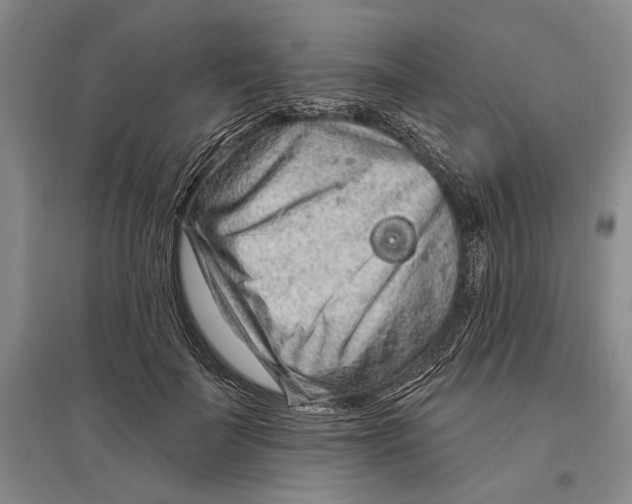 X0000096990699200802291209