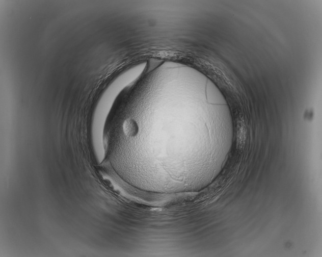 X0000096990700200802291209