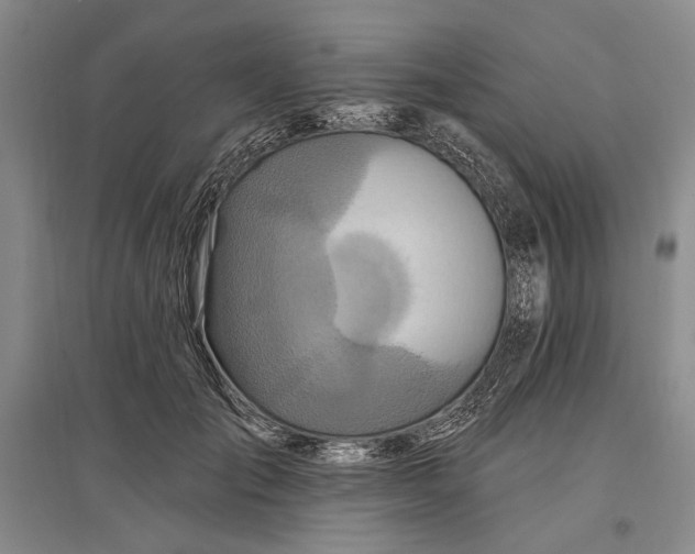 X0000096990701200802291209