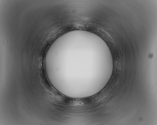 X0000096990702200802291209