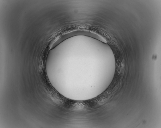 X0000096990704200802291209