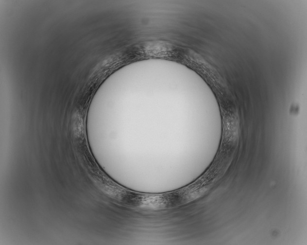 X0000096990705200802291209