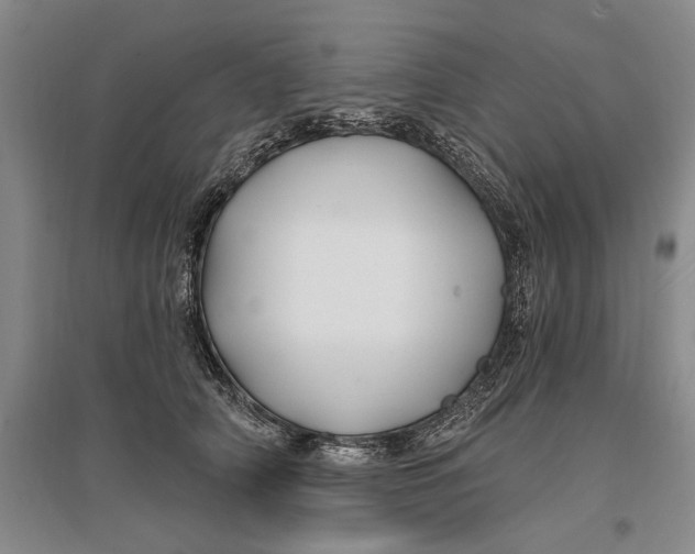 X0000096990706200802291209