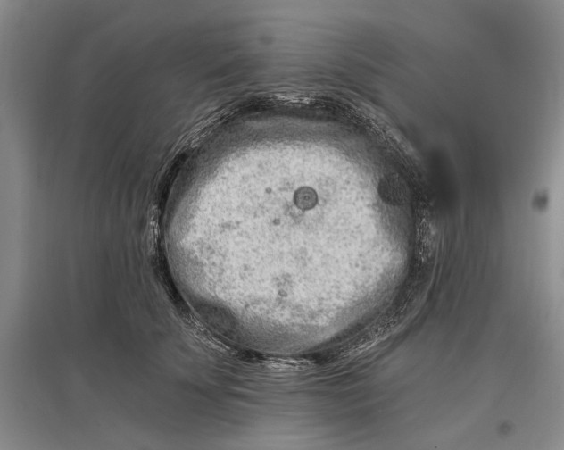 X0000096990707200802291209