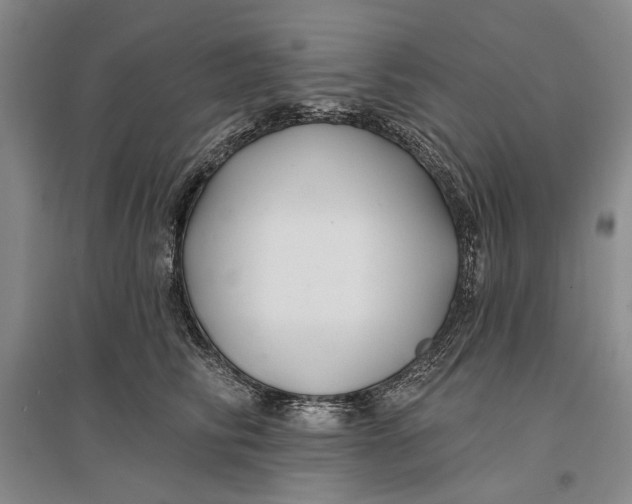 X0000096990710200802291209