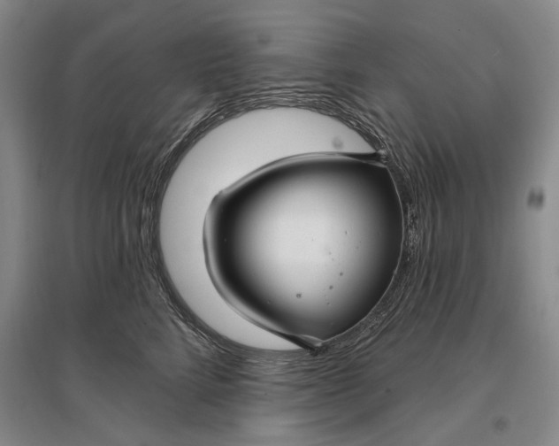 X0000096990712200802291209