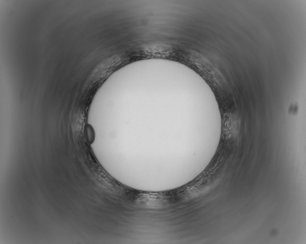 X0000096990713200802291209