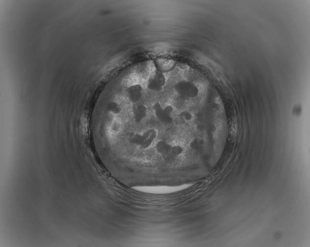 X0000096990715200802291209