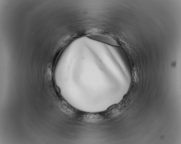 X0000096990716200802291209