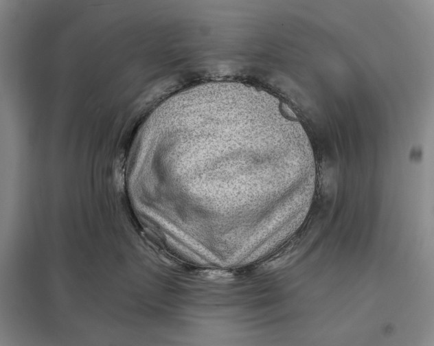 X0000096990719200802291209