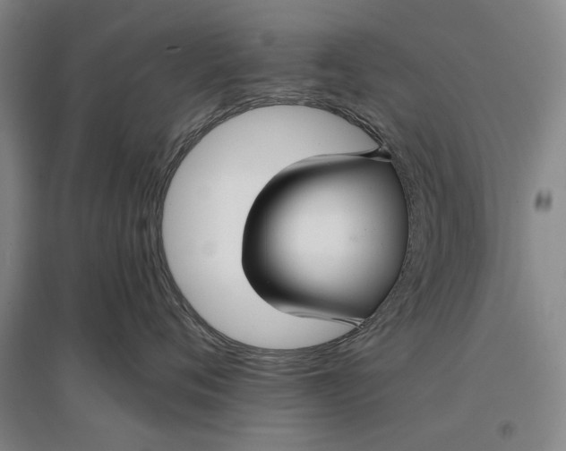 X0000096990720200802291209