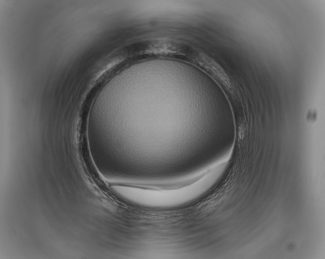 X0000096990724200802291208