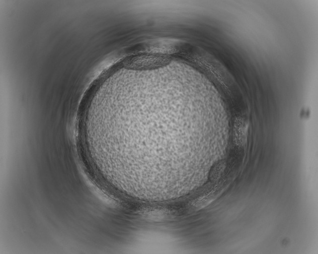 X0000096990726200802291208