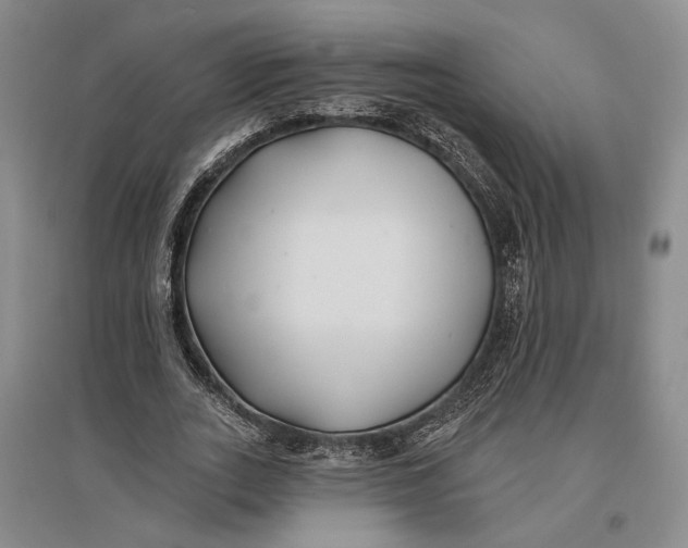 X0000096990727200802291208