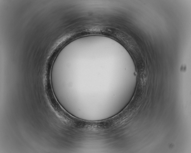 X0000096990728200802291208