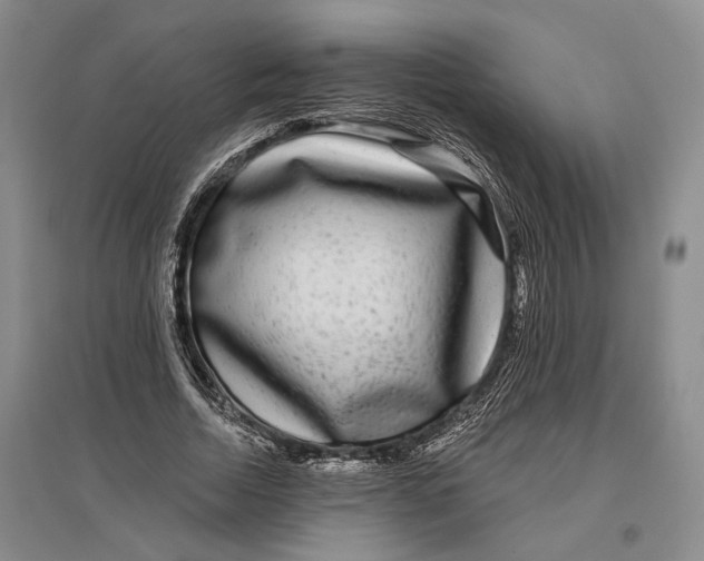 X0000096990730200802291208