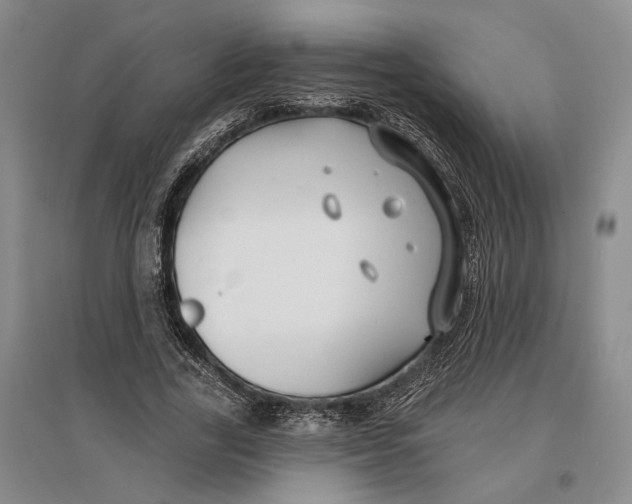 X0000096990731200802291208