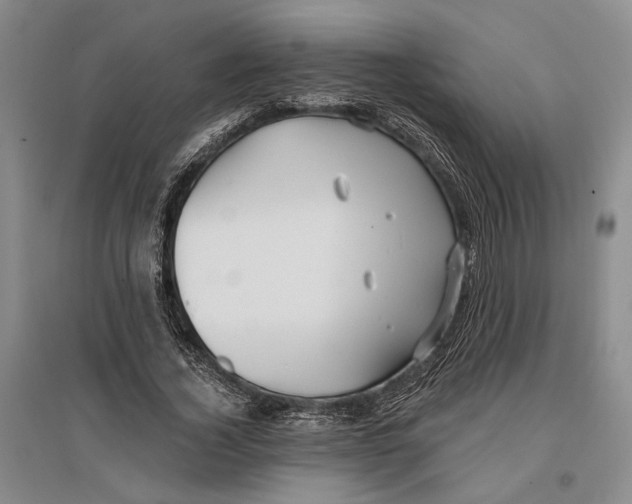 X0000096990732200802291208