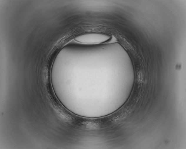 X0000096990733200802291208