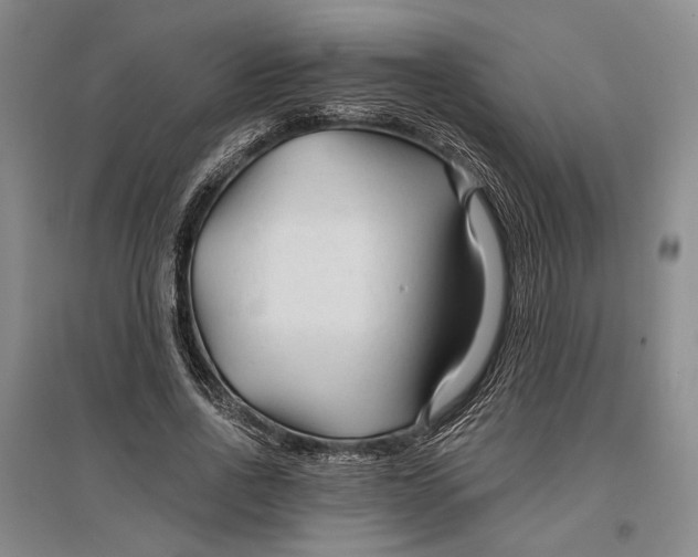 X0000096990734200802291208