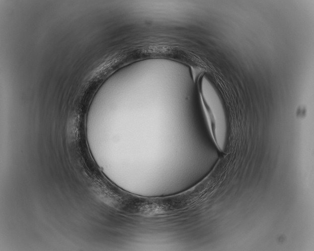 X0000096990735200802291208