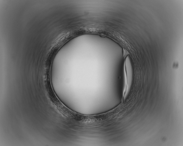 X0000096990738200802291208