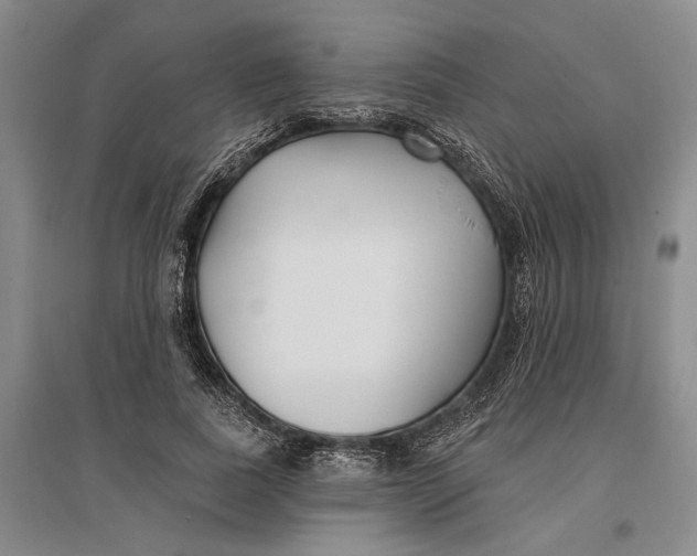 X0000096990739200802291208