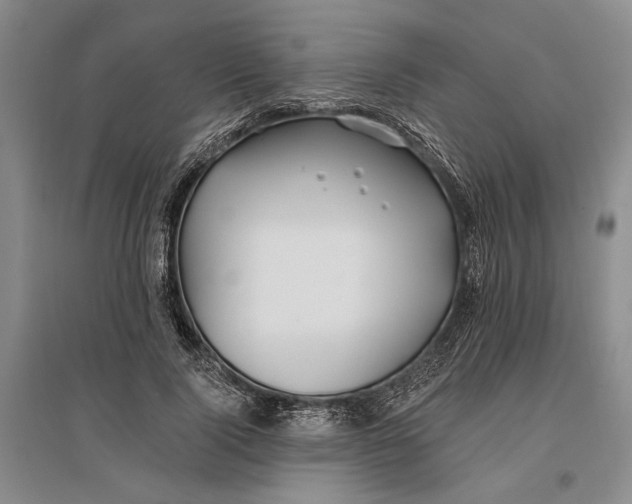 X0000096990740200802291208