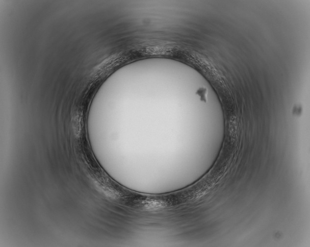 X0000096990741200802291209