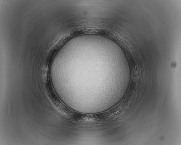 X0000096990742200802291209