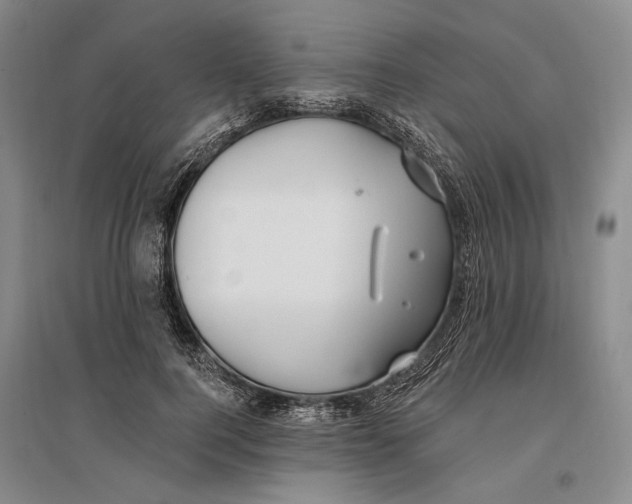 X0000096990744200802291209