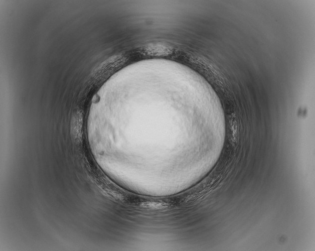 X0000096990745200802291209