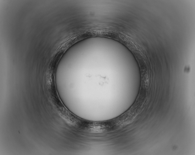 X0000096990746200802291209