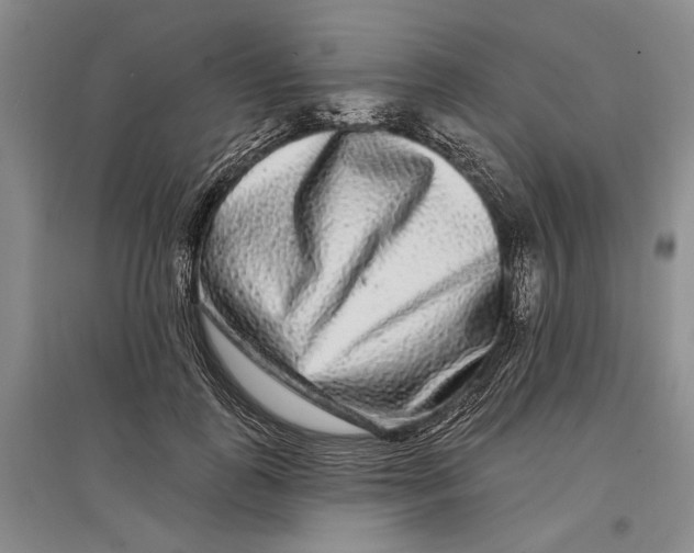 X0000096990747200802291209