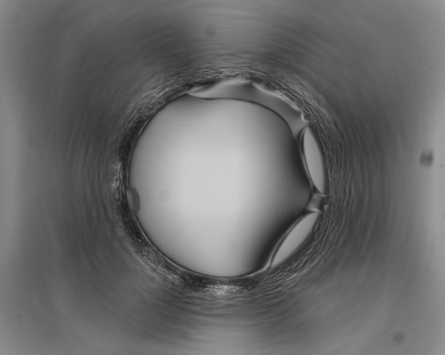 X0000096990748200802291209