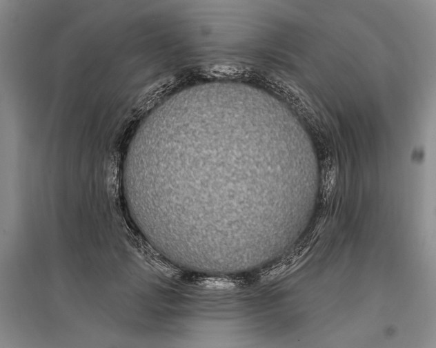 X0000096990749200802291209