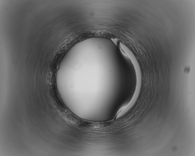 X0000096990750200802291209